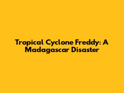 Tropical Cyclone Freddy: A Madagascar Disaster