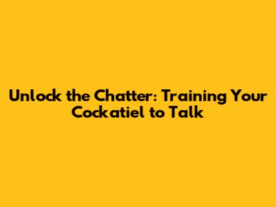 Unlock the Chatter: Training Your Cockatiel to Talk