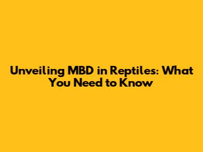Unveiling MBD in Reptiles: What You Need to Know