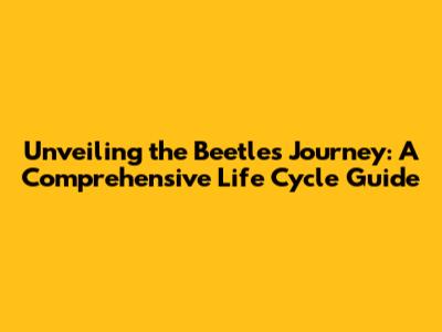Unveiling the Beetle's Journey: A Comprehensive Life Cycle Guide
