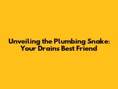 Unveiling the Plumbing Snake: Your Drain's Best Friend