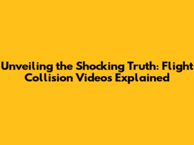 Unveiling the Shocking Truth: Flight Collision Videos Explained