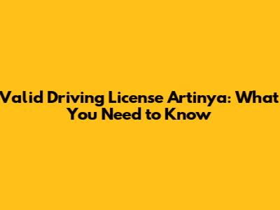Valid Driving License Artinya: What You Need to Know
