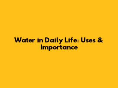 Water in Daily Life: Uses & Importance