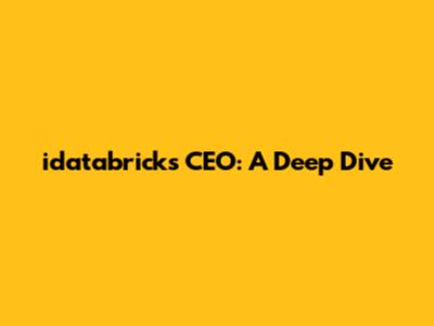 idatabricks CEO: A Deep Dive